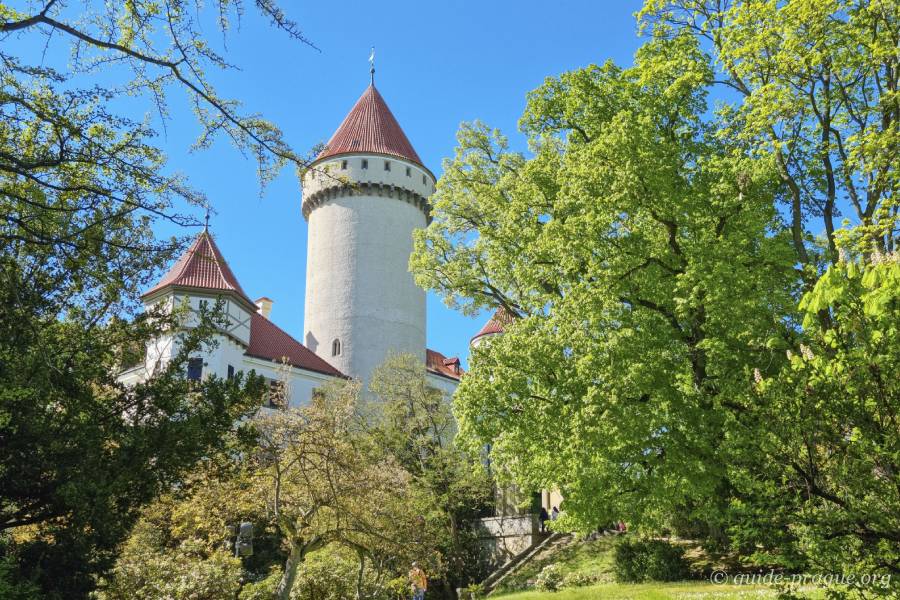 Photo of the castle's park and the preserved tower in the background.