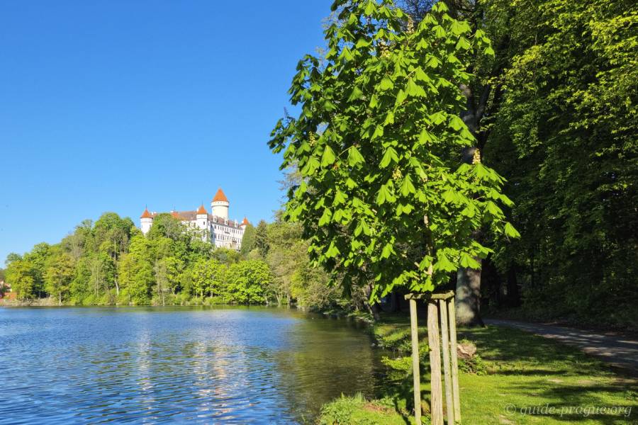 Photo of the lake in the castle's park.