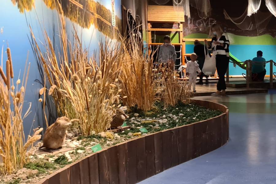 An exhibit at the National Museum of Agriculture in Prague, showcasing natural habitats with animal figures and plants, while children and families explore the interactive displays in the background.